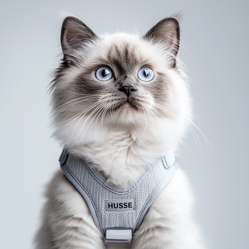 HUSSE Adjustable Cat Harness – Lightweight & Secure for Daily Walks – LightBlue