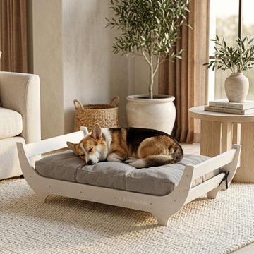 CANAGAN Elevated Wood Dog Bed, Raised Dog Couch with Washable Cushion, Modern Pet Furniture for Indoor Dogs, Furniture Grade Wood Frame,WhiteMaple GrainPattern, Medium