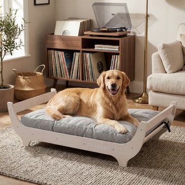 CANAGAN Elevated Wood Dog Bed, Raised Dog Couch with Washable Cushion, Modern Pet Furniture for Indoor Dogs, Furniture Grade Wood Frame, WhiteMaple GrainPattern, Large