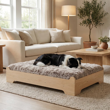 GLOSSGODS Elevated Wooden Dog Bed with Supportive Cushion & Washable Cover, Sturdy Noise-Free Frame, Modern Furniture-Style Design for Indoor Living Spaces, L Size for Medium to Large Dogs, Natural Wood Finish