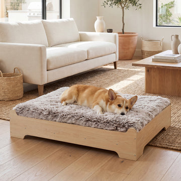 GLOSSGODS Elevated Wooden Dog Bed with Supportive Cushion & Washable Cover, Sturdy Noise-Free Frame, Modern Furniture-Style Design for Indoor Living Spaces, M Size for Medium Dogs, Natural Wood Finish
