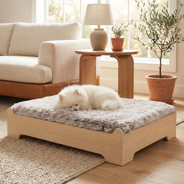 GLOSSGODS Elevated Wooden Dog Bed with Supportive Cushion & Washable Cover, Sturdy Noise-Free Frame, Modern Furniture-Style Design for Indoor Living Spaces, S Size for Small Dogs, Natural Wood Finish