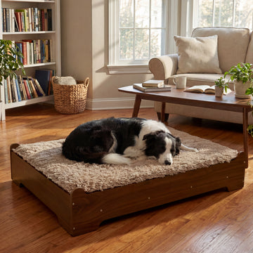 GLOSSGODS Elevated Wooden Dog Bed with Supportive Cushion & Washable Cover, Sturdy Noise-Free Frame, Modern Furniture-Style Design for Indoor Living Spaces, L Size for Medium to Large Dogs, Walnut Wood Finish