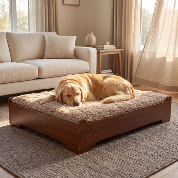 GLOSSGODS Elevated Wooden Dog Bed with Supportive Cushion & Washable Cover, Sturdy Noise-Free Frame, Modern Furniture-Style Design for Indoor Living Spaces, XL Size for Large Dogs, Walnut Wood Finish