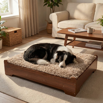 GLOSSGODS Elevated Wooden Dog Bed with Supportive Cushion & Washable Cover, Sturdy Noise-Free Frame, Modern Furniture-Style Design for Indoor Living Spaces, L Size for Medium to Large Dogs, Walnut Wood Finish