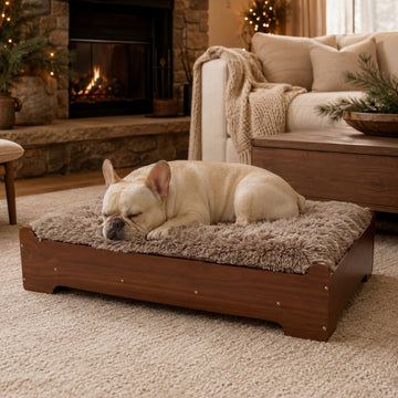GLOSSGODS Elevated Wooden Dog Bed with Supportive Cushion & Washable Cover, Sturdy Noise-Free Frame, Modern Furniture-Style Design for Indoor Living Spaces, M Size for Medium Dogs, Walnut Wood Finish