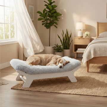 MUIHOOD Wood Elevated Dog Bed Frame and Egg Crate Foam Mattress, Luxurious Suitable for Pets Up to 80 lbs, White, L