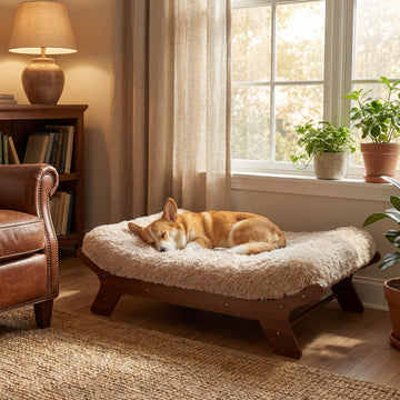 MUIHOOD Wood Elevated Dog Bed Frame and Egg Crate Foam Mattress, Luxurious Suitable for Pets Up to 60 lbs, Walnut, M