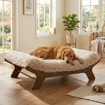 MUIHOOD Wood Elevated Dog Bed Frame and Egg Crate Foam Mattress, Luxurious Suitable for Pets Up to 110 lbs, Walnut, XL