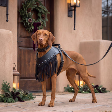 MUIHOOD Vegan Leather Dog Collar Harness and Leash Set, Black, Large | Western Dog Collar Harness and Leash Set with Fringe, Studs and Adjustable Fit for Large Dogs