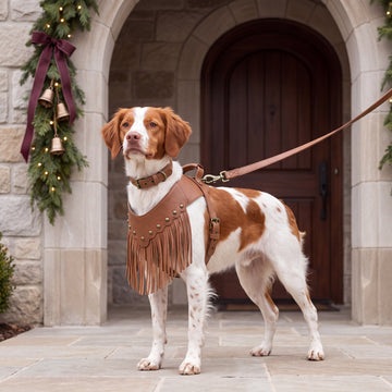MUIHOOD Vegan Leather Dog Collar Harness and Leash Set, Brown, Medium | Western Dog Collar Harness and Leash Set with Fringe, Studs and Adjustable Fit for Medium Dogs