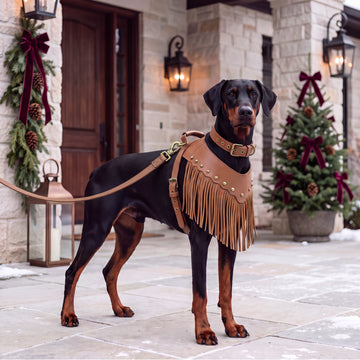 MUIHOOD Vegan Leather Dog Collar Harness and Leash Set, Brown, X-Large | Western Dog Collar Harness and Leash Set with Fringe, Studs and Adjustable Fit for Large Dogs
